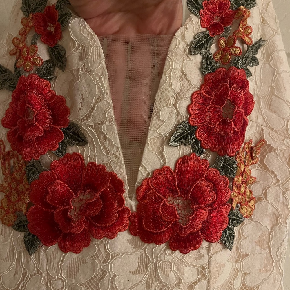 Banana Republic Cream Lace Dress with Red Floral Embroidery - Picture 4 of 5